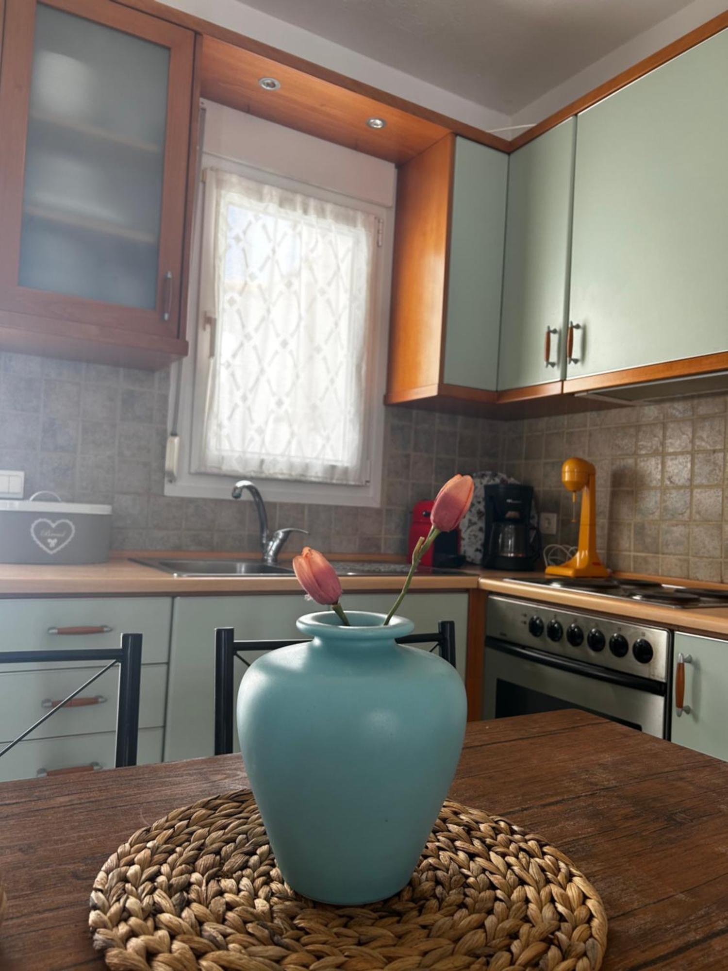 Willa Perfect Hospitality - Elenas House, Nikiti Zewnętrze zdjęcie